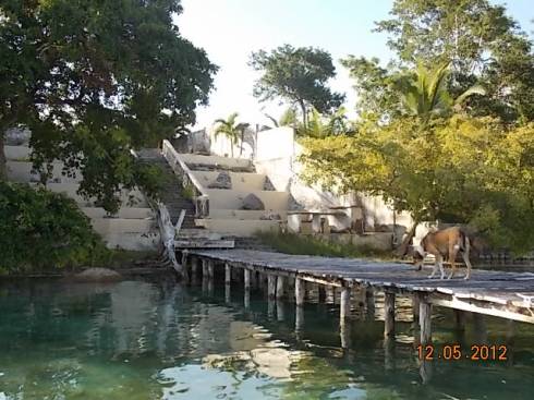 DavidsDockBacalar2012