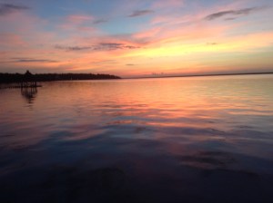 Some Days Just Amaze