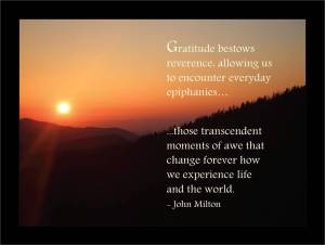 Gratitude, gratitude, gratitude