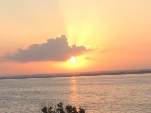 Gratitude, gratitude, gratitude.