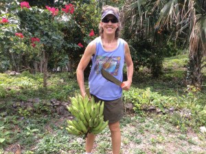 Harvesting from our property