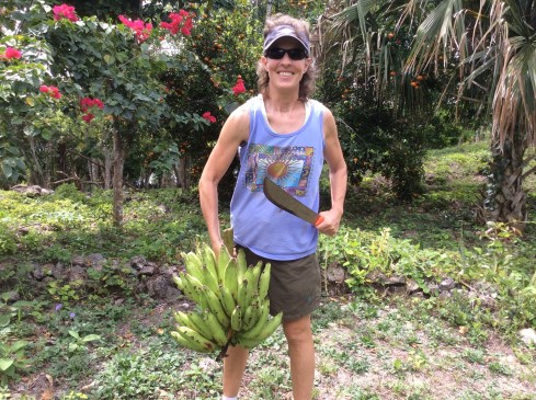 Harvesting from our property