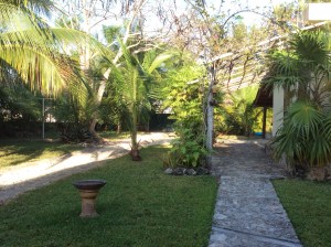 From the Front Porch