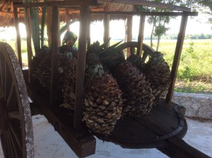 These Hearts Have Cooled