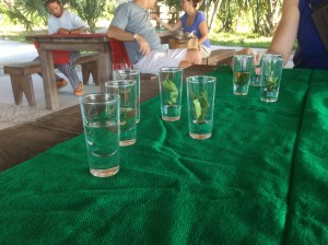 Coffee Beans and Herbals to Cleanse