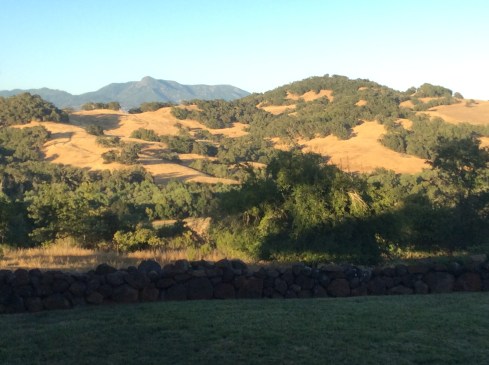 The setting sun provided the backdrop in Healdsburg.