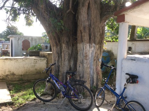 Visiting the cemetary.
