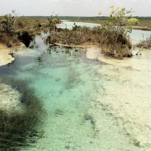 The south end of Laguna Bacalar.