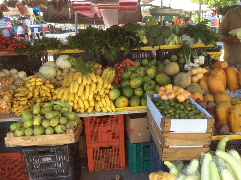 Saturday Farmer's Market in Chetumal