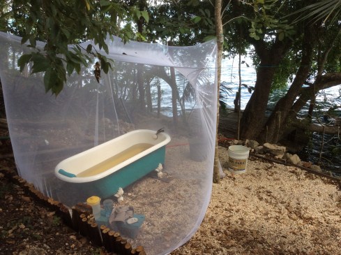 Soaking in a hot herbal bath.