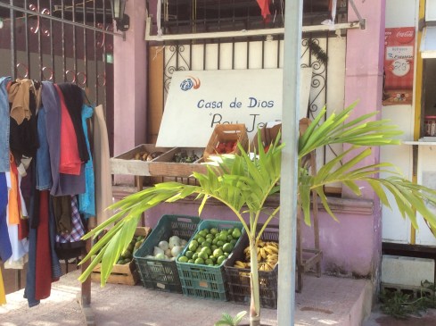 This store expanded to include fruit, clothes and plants.