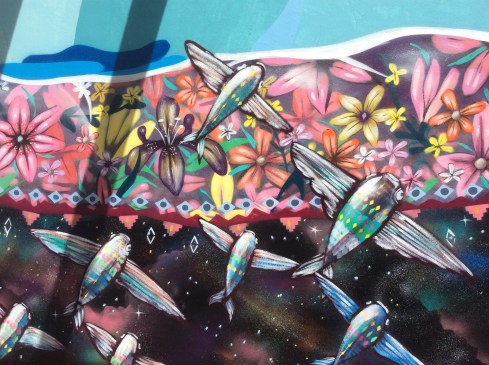 Flying fish than can be seen when I'm out in my kayak.