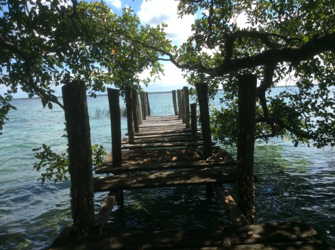 Our wobbly dock will be replaced eventually. This will be the view from our porch.