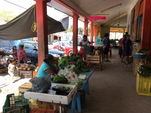 The Mayan women have their patio eggs and backyard veggies.