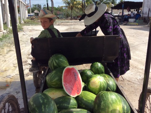 Another Mennonite family.