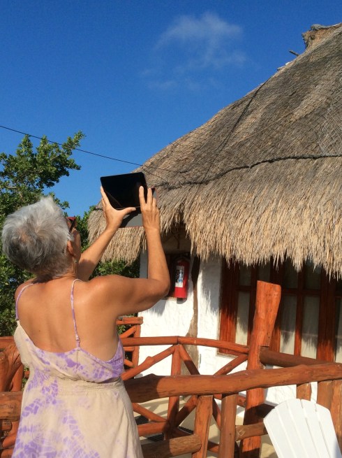 The iguana on the roof just wouldn't give me the photo I wanted.