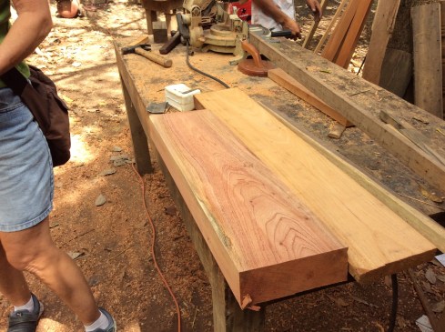 This local cedar had wonderful hues of pink and purple.