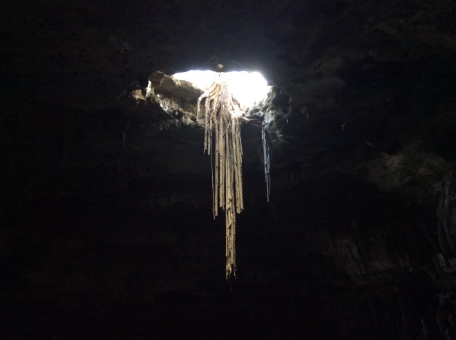 Roots from the trees above reaching for the water.