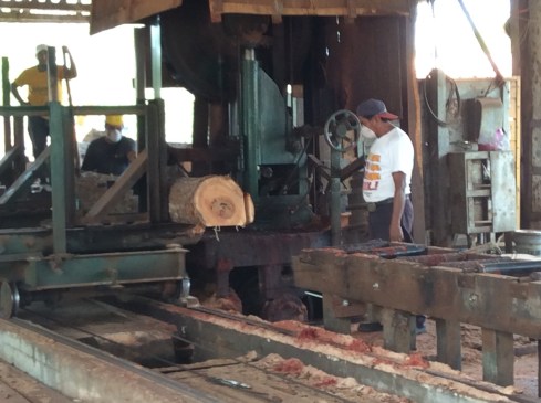 Using a huge bandsaw boards are cut and stacked to dry.