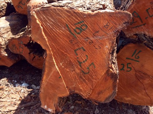 I bet they could sell this for a fortune.