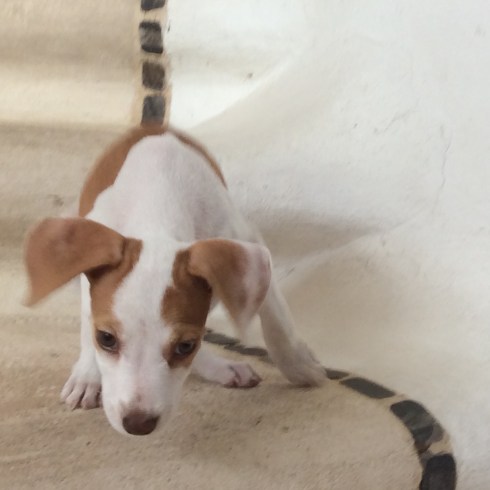 At first I was too weak to climb the stairs, but not now!