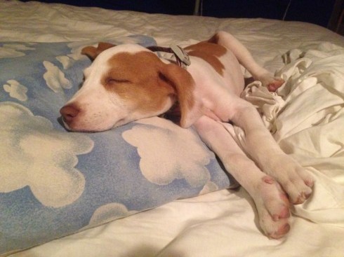 Sleeping on me the bed, busted!