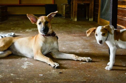 With my girl Bonita. We're all ears.