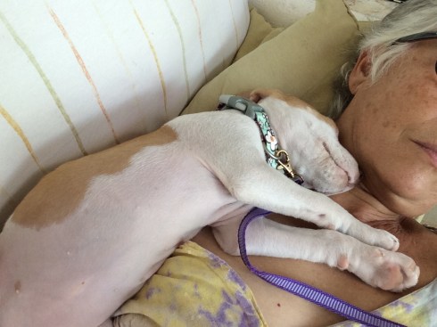 She definitely prefers a full body siesta.