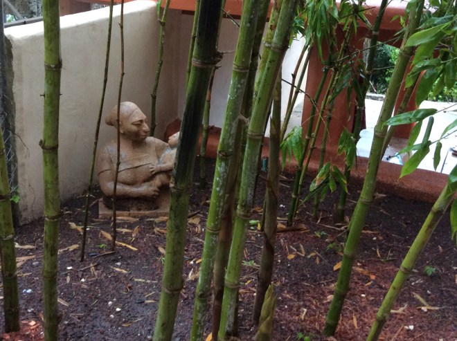 The bamboo explodes with growth in the rain.