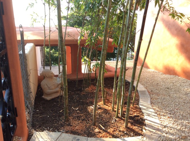 North side with our little stand of bamboo.