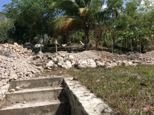 Early picture looking up from the lower stairs to the Laguna. Before.