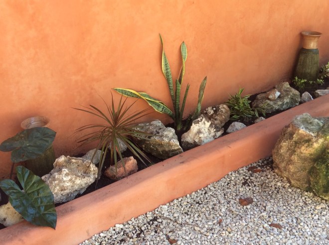 Keeping the dogs from digging in the garden. Aren't I clever?