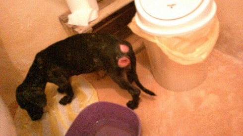 079458C6-D61E-45B3-ACE7-39DE66AFBE3F