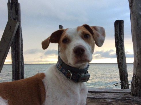 50C1B77C-1906-4259-9C66-F04C8002F5DE