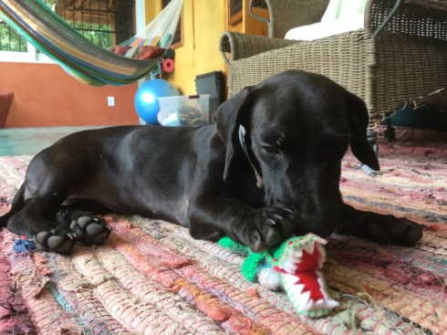 5D9410CB-DCE1-4120-B404-9C76078671BE