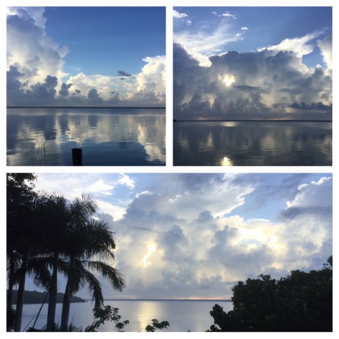 AA13099A-D02E-4D2C-AB17-BB141DC78A93