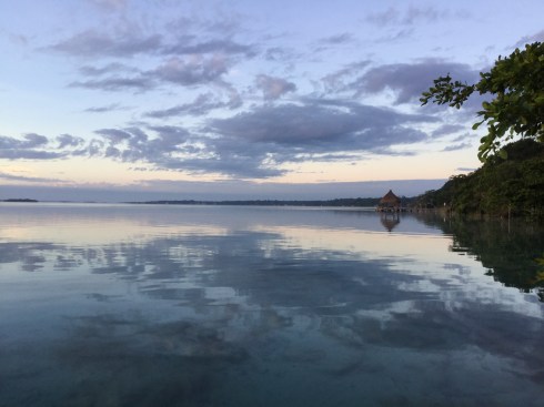 C19804A3-B5A0-4003-9C99-ECA367684C3E