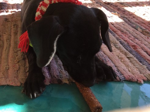 06BA746A-061E-4E28-B090-FC7938B45045