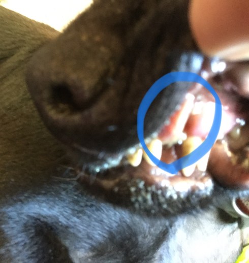 23A6A260-BDBD-4665-A22E-6CDD91B2BF3A