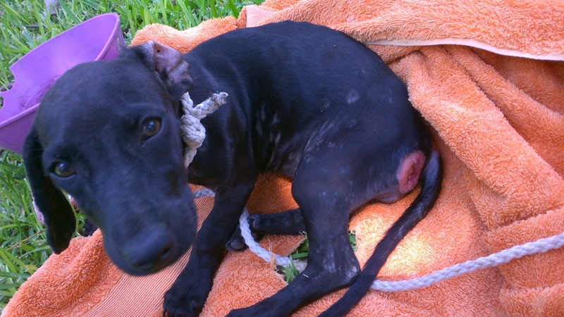 307D152A-7963-4D63-828A-9CD6D2852667