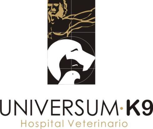 3B899F5C-DB89-45AF-939D-382E53752043