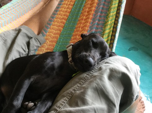 4965B720-0DAD-439C-9C3B-33383D8F6B14