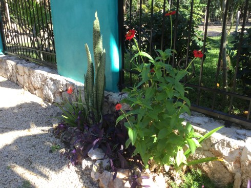 5ABFC0A4-27FC-474B-92C4-00583C5F782F