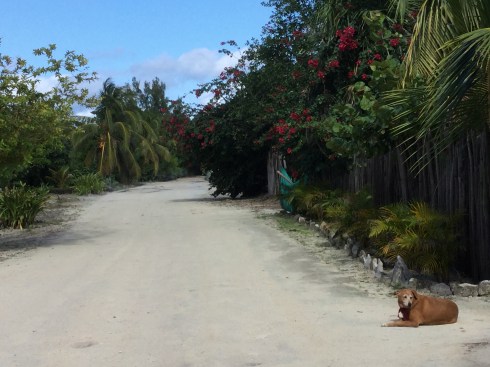 6AA19C54-DCFD-4207-857C-CEBD2265FBA2