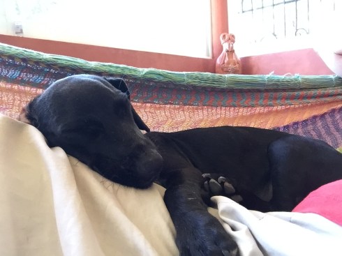 742ACBCA-DF00-41A1-846E-5B0CC08755A8