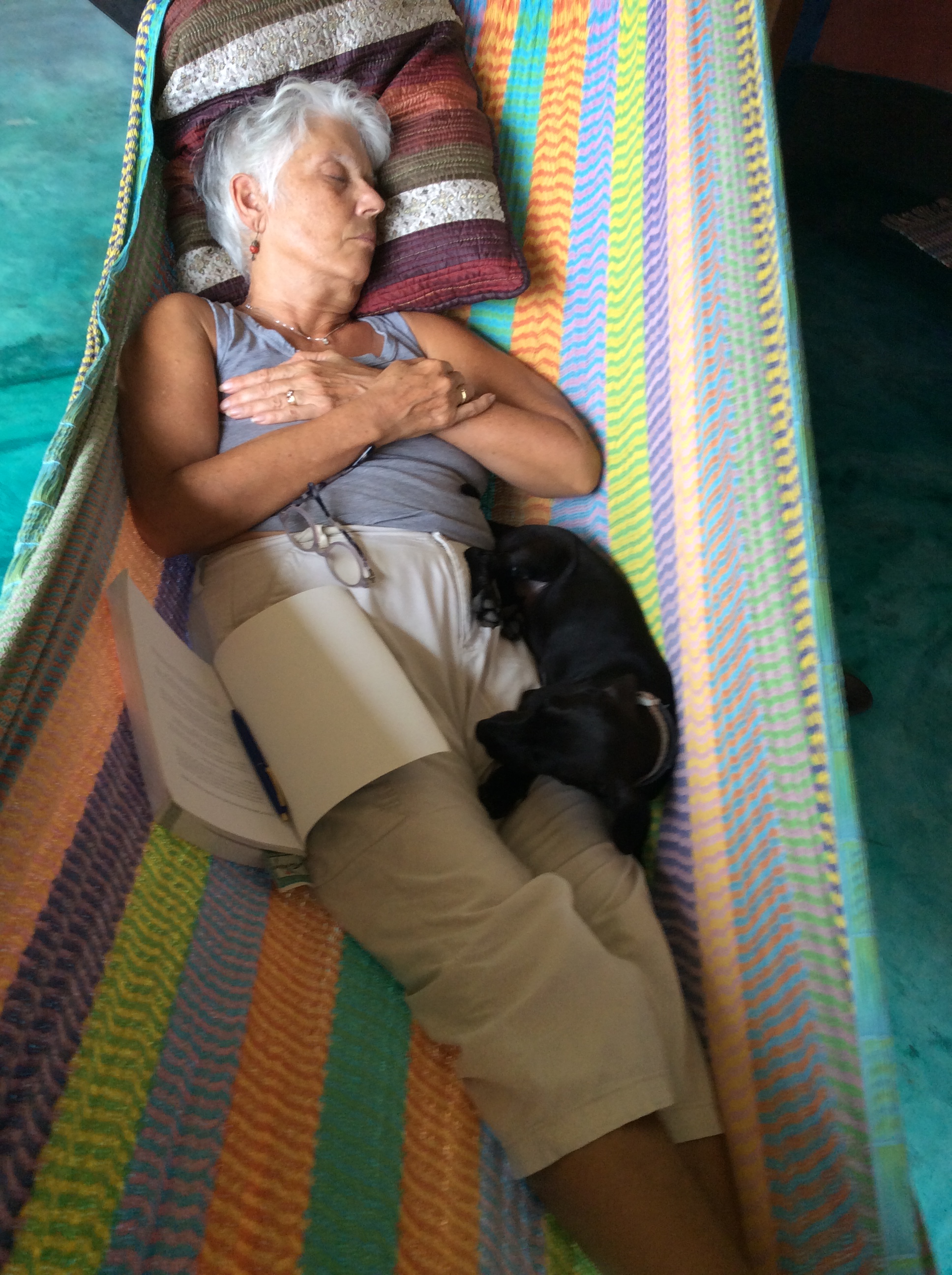 7ED8E8AE-3EF0-436E-832A-61B44EA5A532