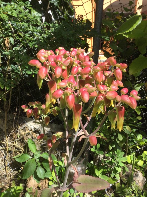 850454B3-02BC-4E0D-93FA-A26E4B44F0D0