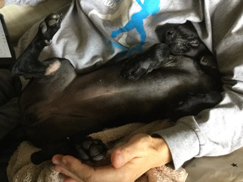 C4010B24-3E05-470C-8C67-28025C709691