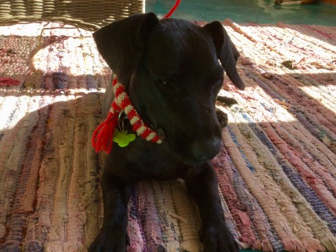 F8BA1869-9363-4F9A-A16A-37EA03FA2B46