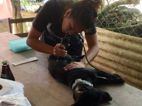 0B6A27E4-8426-4CAD-B3BE-0F82A3D0190B